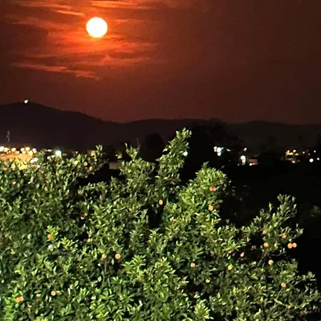 Lidas Golden View-All Around Veranda Apartment Nafplio Exterior photo